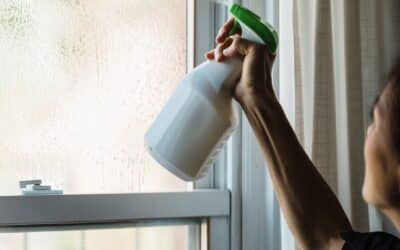 Is Glass Cleaner Bad for Car Paint?