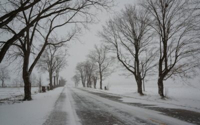 Can You Replace a Windshield in Cold Weather? Temperature Limits, Adhesive Curing, Risks, and Aftercare