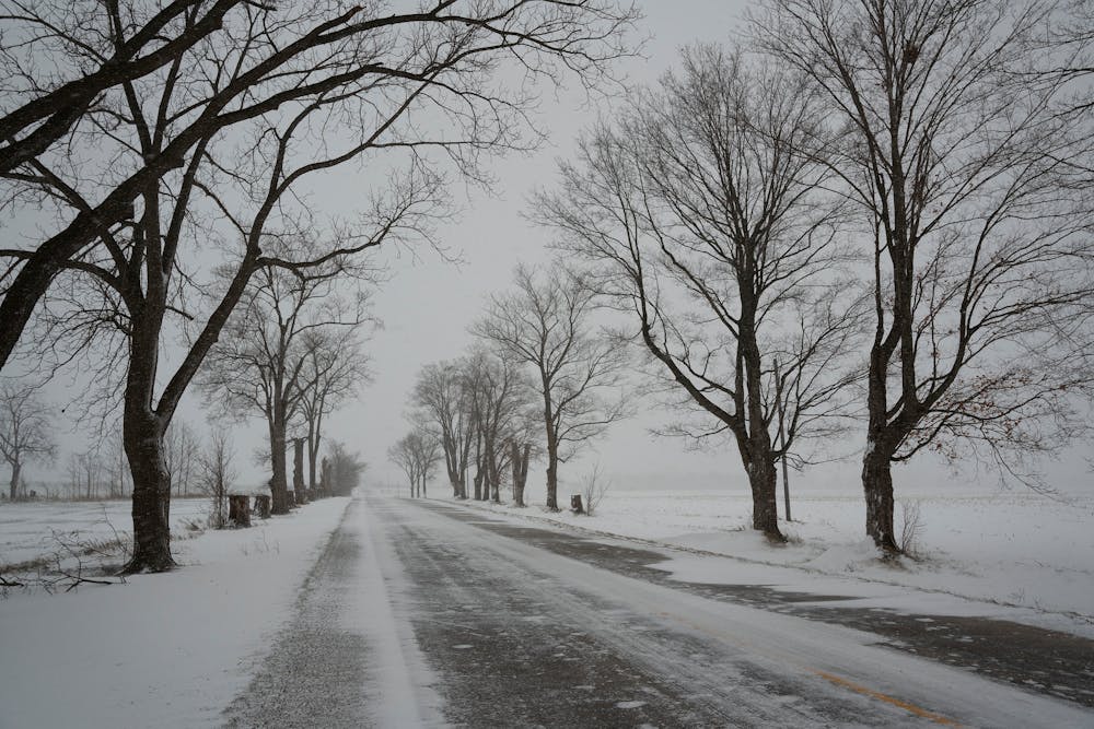 pexels-hyukman-kwon-2542429-6293971